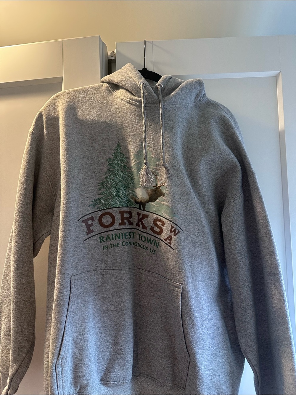 Twilight Saga Forks WA Gray Graphic Hoodie - Rainiest Town Design